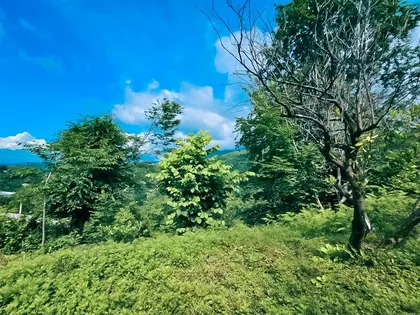 House, 5102 m²