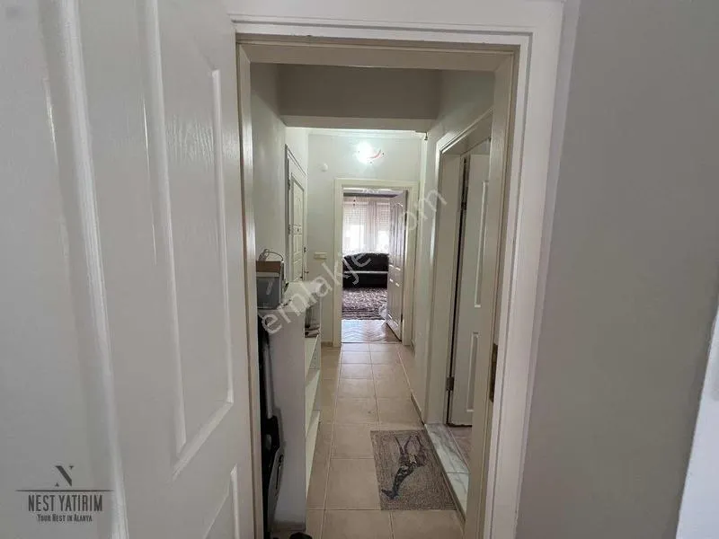 Apartment, 2-room, 65 m²