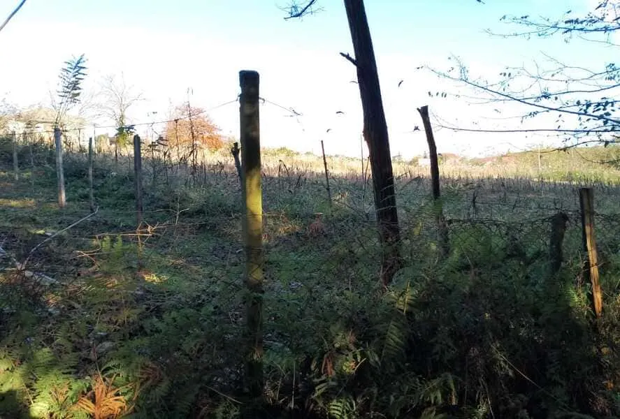 Land, 1000 m²