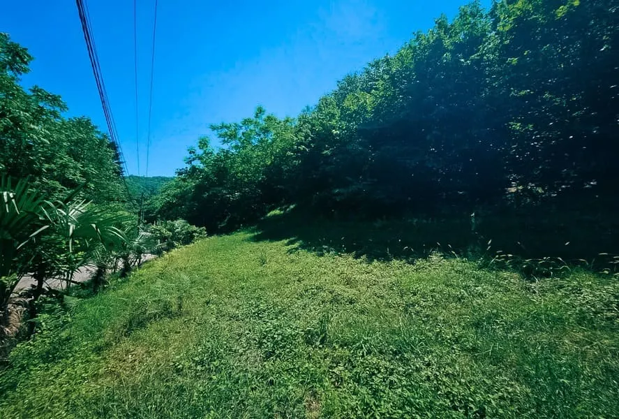 Земля, 1700 м²