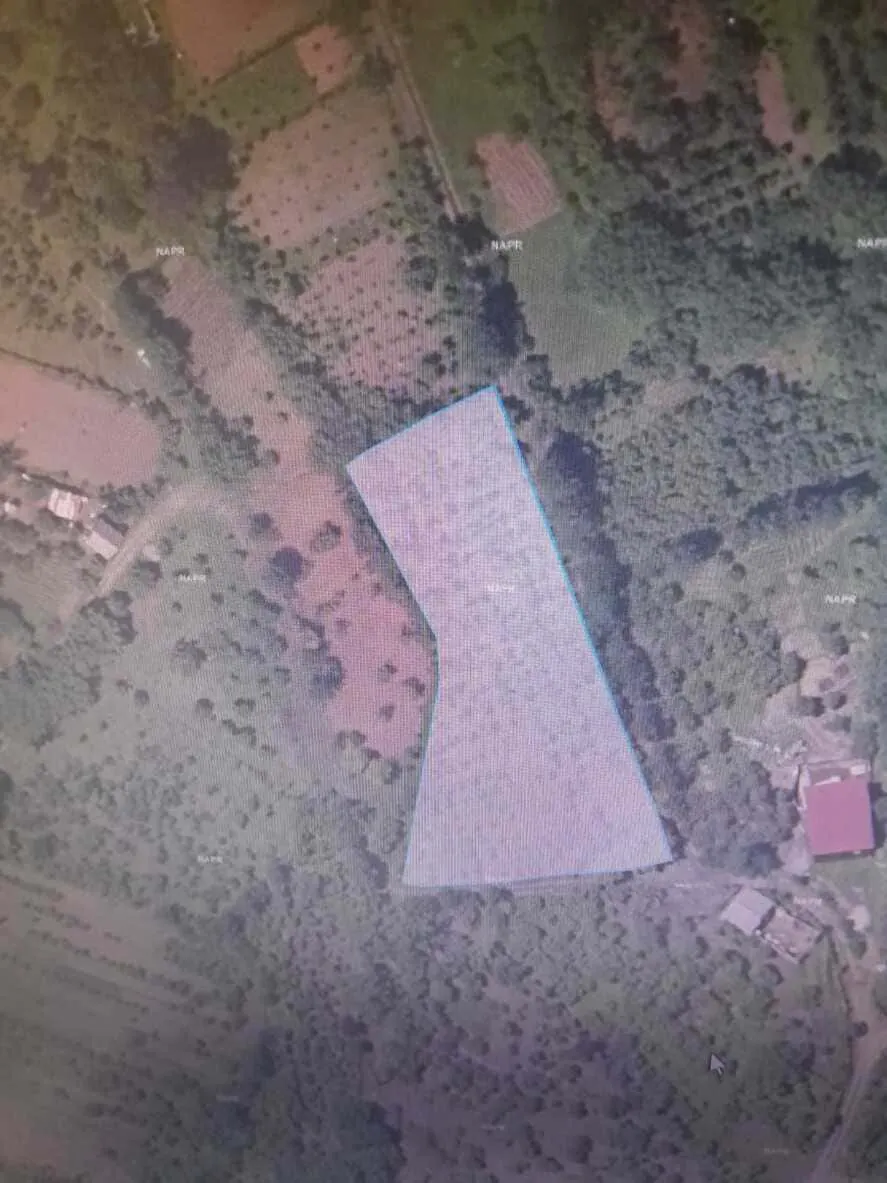 Land, 2965 m²