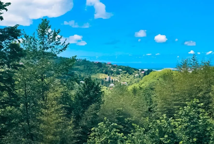 Land, 2292 m²