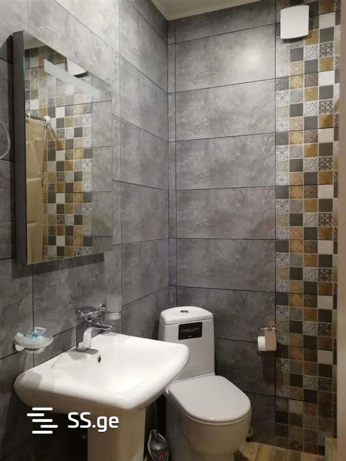 Apartment, 2-room, 55 m², Vakhtang Gorgasali St, 34b