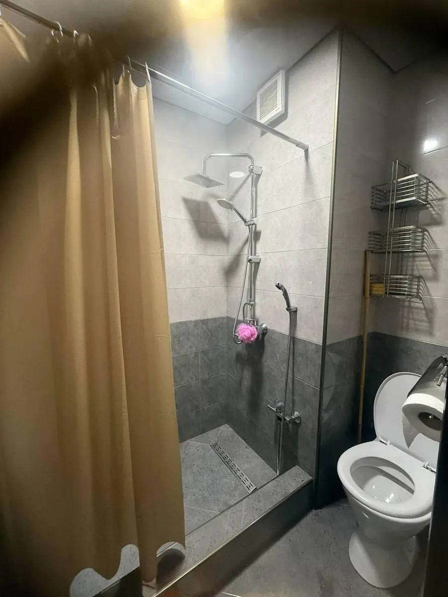 Apartment, 2-room, 47 m², Zurab Gorgiladze St, 96