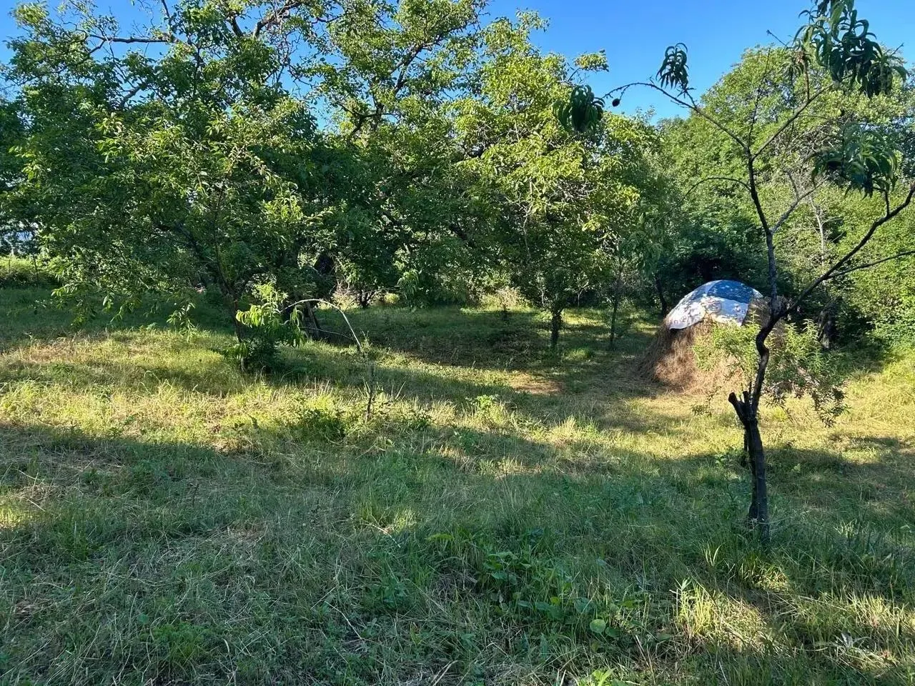 Дом, 10-комн., 257 м²