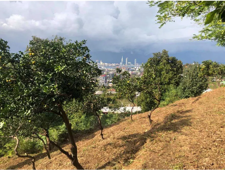 Land, 1000 m²