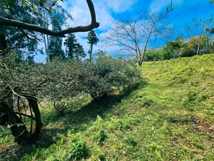 Plot, 1800 m²