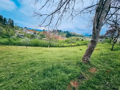 Plot, 2794 m²