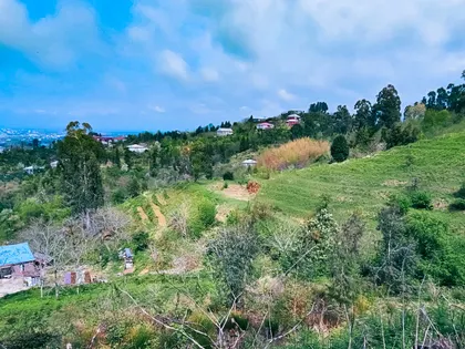 Plot, 3700 m²