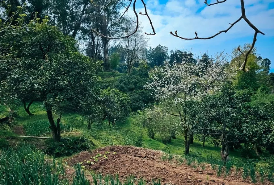 Land, 470 m²