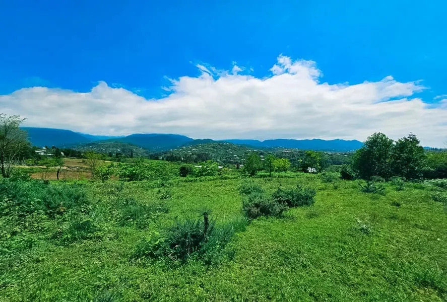 Земля, 5500 м²