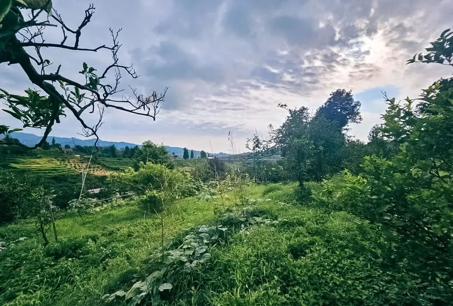 ЖК Chakvi