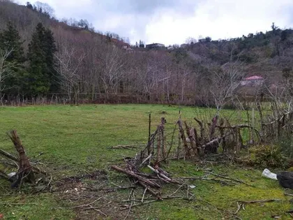 Plot, 3380 m²