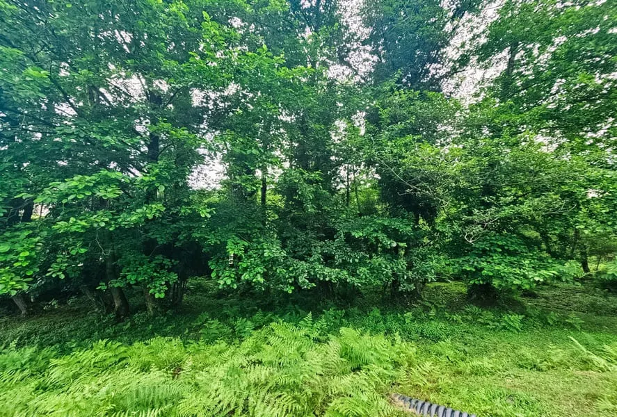 Land, 3993 m²