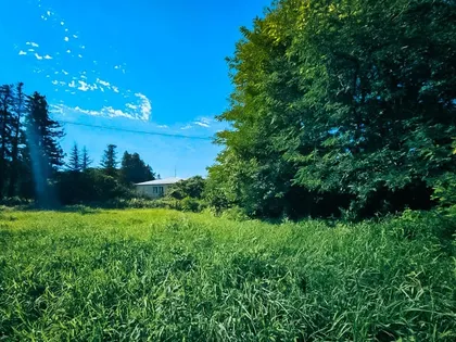 House, 3234 m²