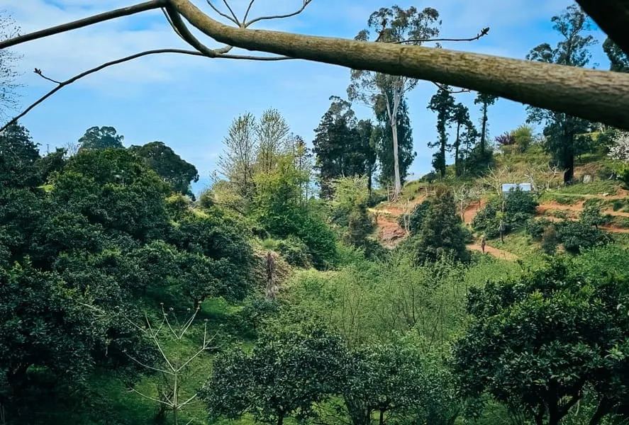 Land, 470 m²