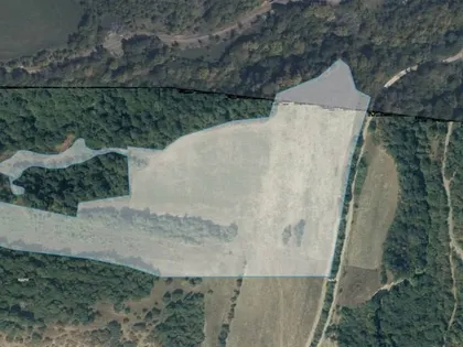 Plot, 55000 m²