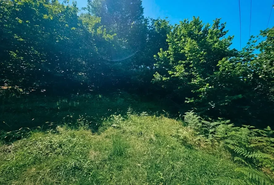 Земля, 1700 м²