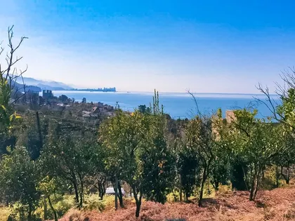 Plot, 2750 m²