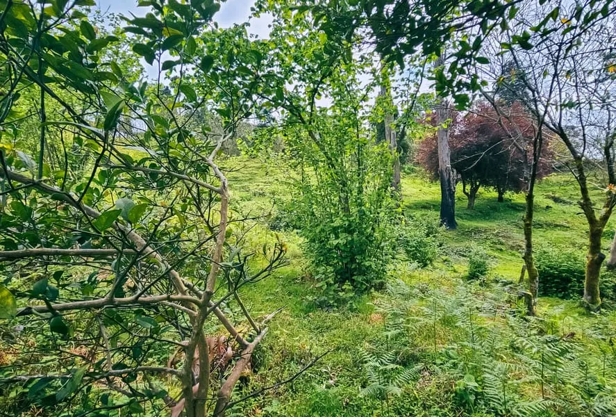 Land, 5000 m²