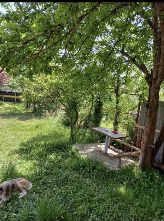 House, 5-room, 320 m²