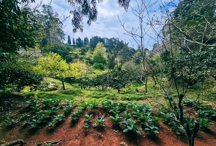 Land, 1944 m²