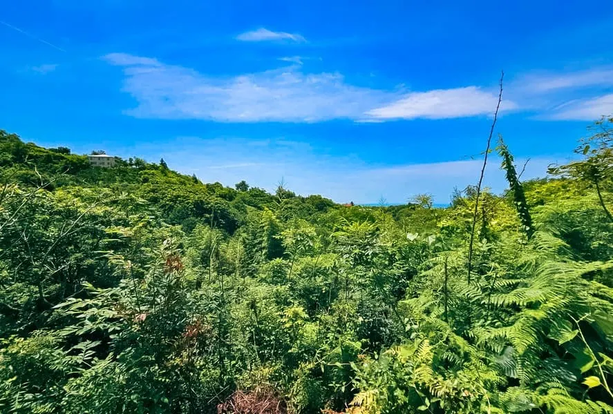 Land, 1000 m²