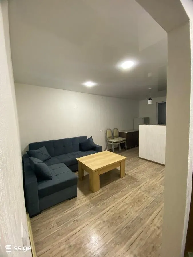 Apartment, 2-room, 50 m², Tsulukidze St, 15