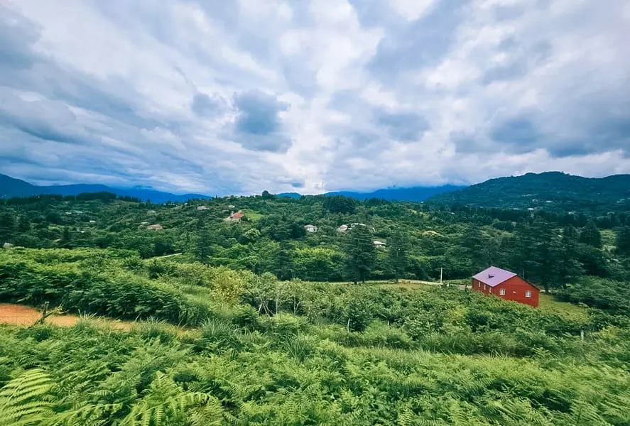 ЖК Chakvi