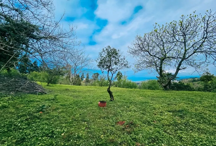 Land, 3300 m²