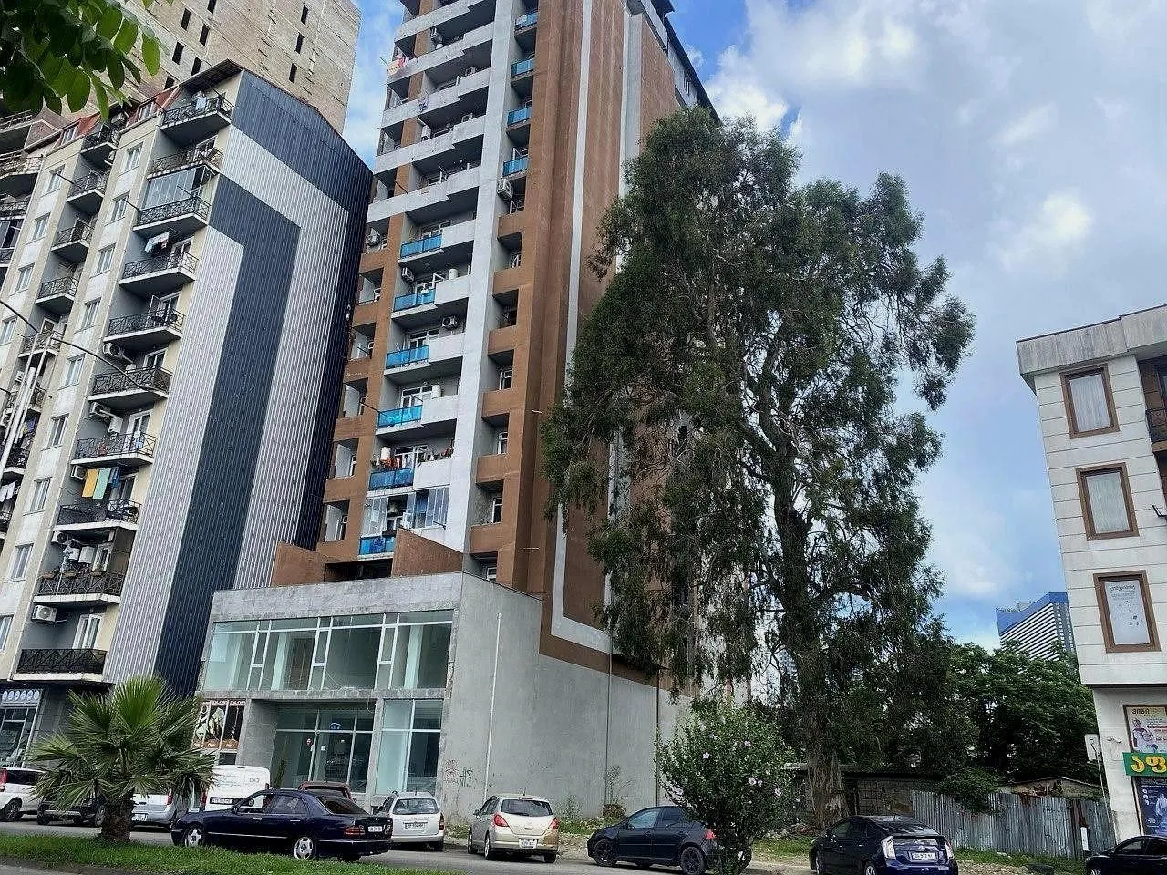 Petre Bagrationi St, 196v residential complex