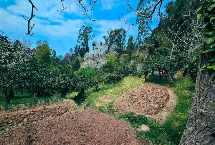 Land, 470 m²