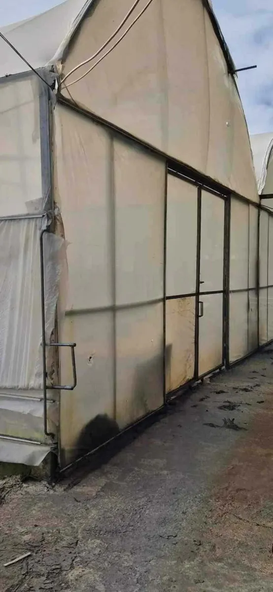 Земля, 5000 м²