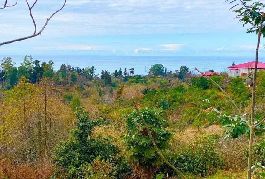 Земля, 2000 м²