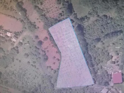 Plot, 2965 m²
