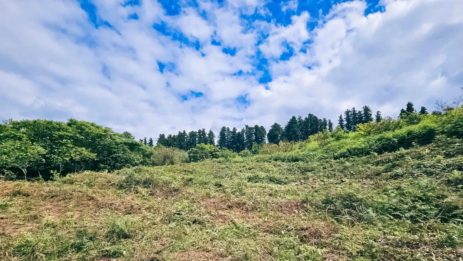 ЖК Chakvi
