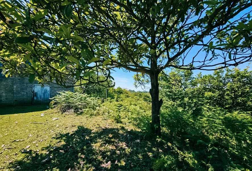 House, 200 m²