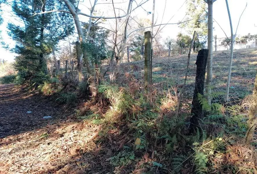 Land, 1000 m²