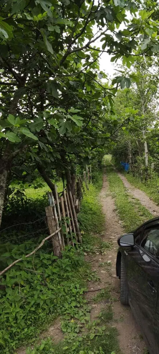 Land, 2965 m²
