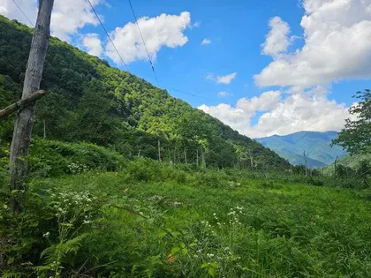 Plot, 2800 m²