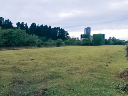 Plot, 1797 m²