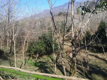 Plot, 3609 m²