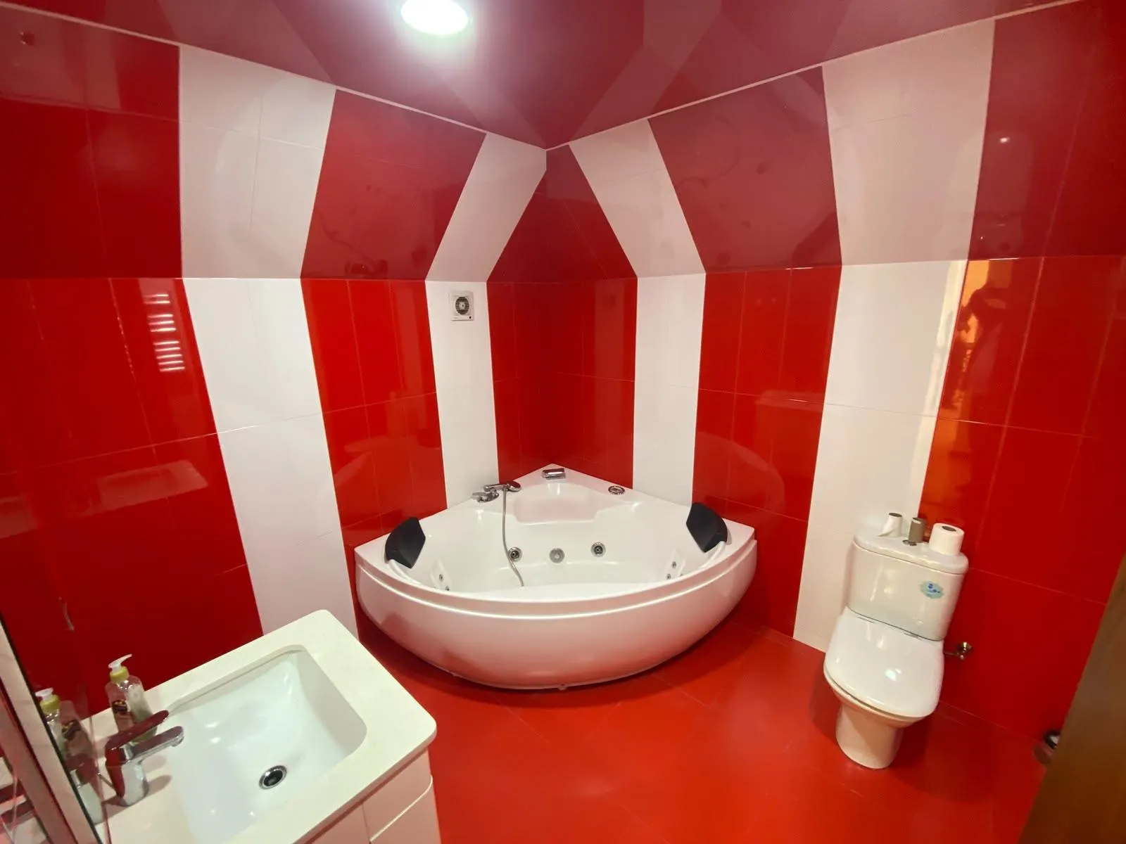 House, 10-room, 900 m²