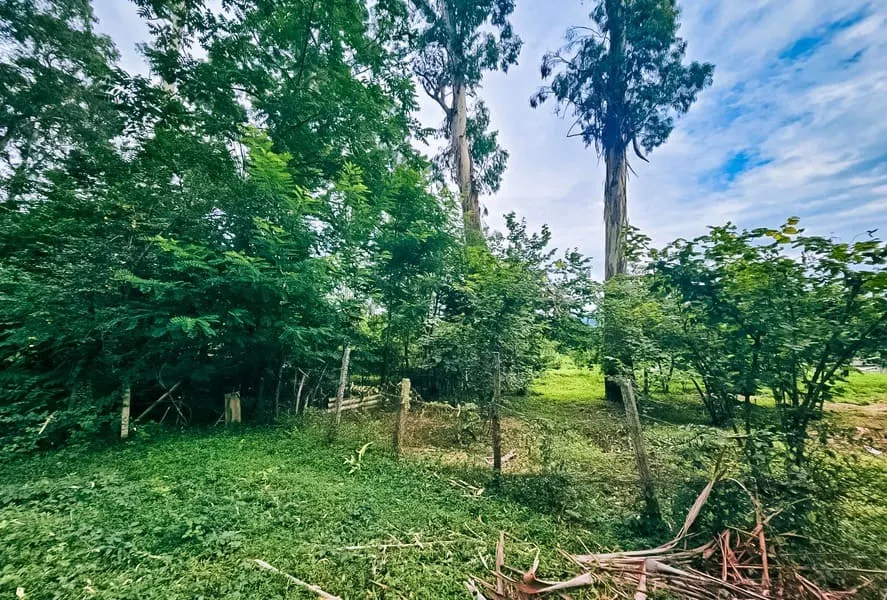 ЖК Oasis