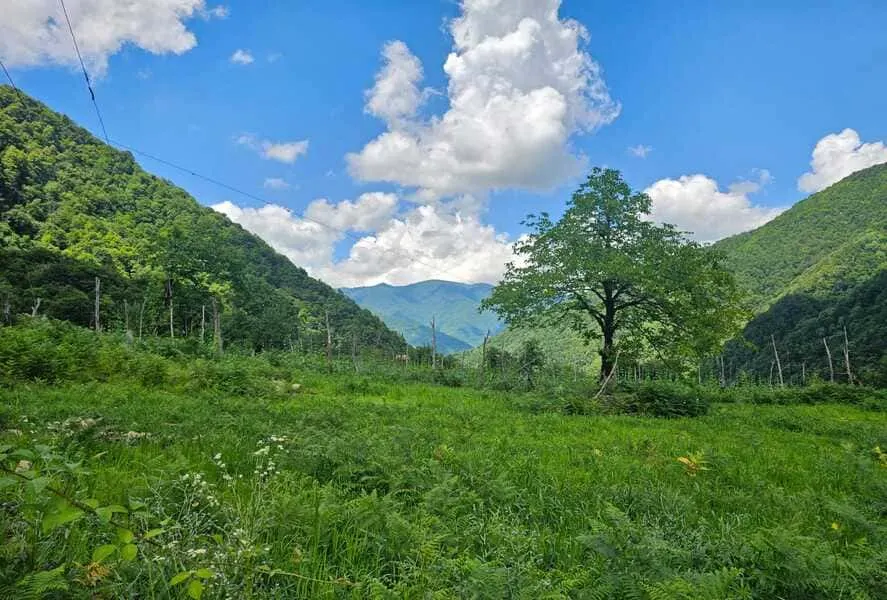 Земля, 2800 м²