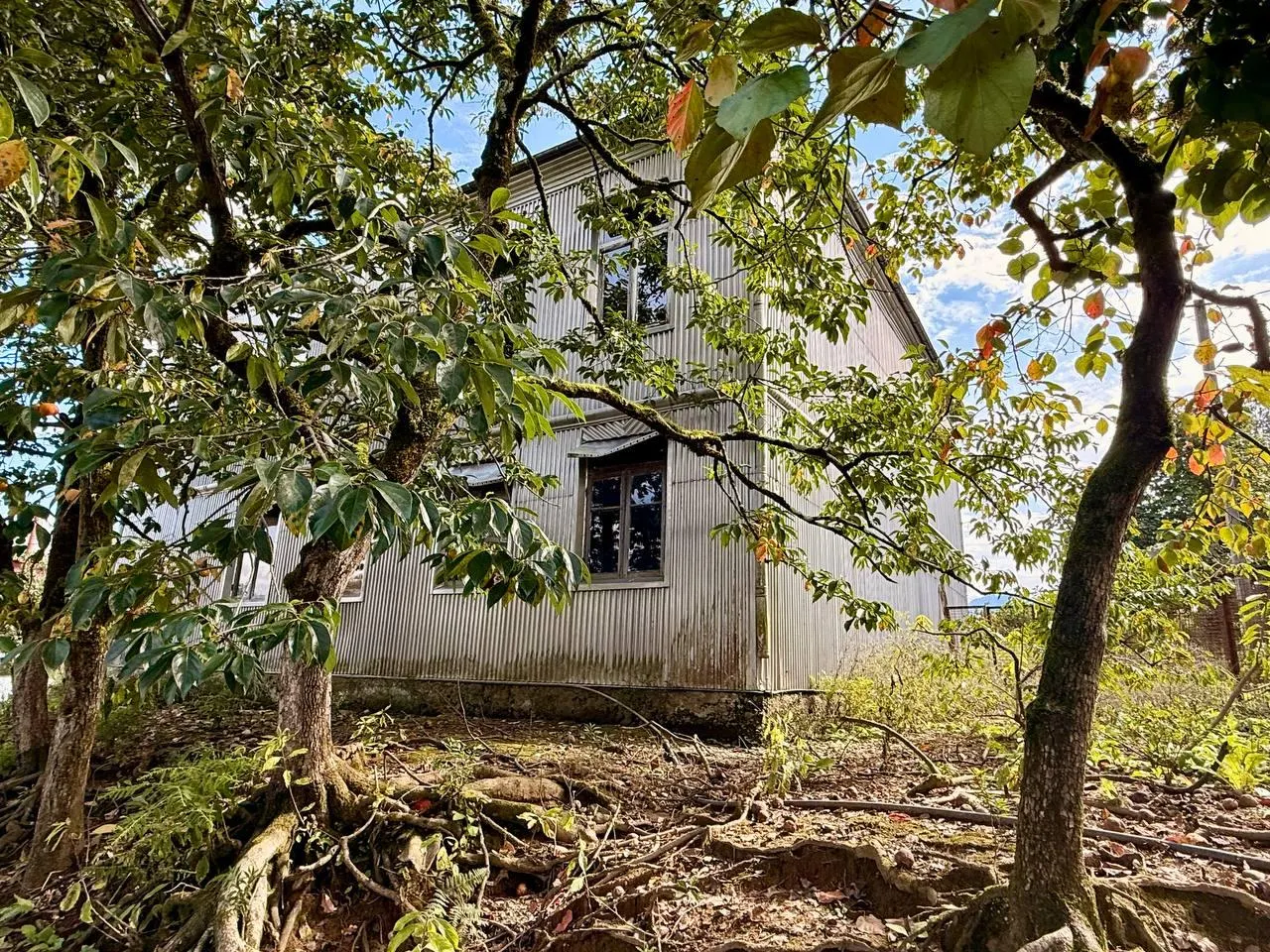 House, 5-room, 250 m²