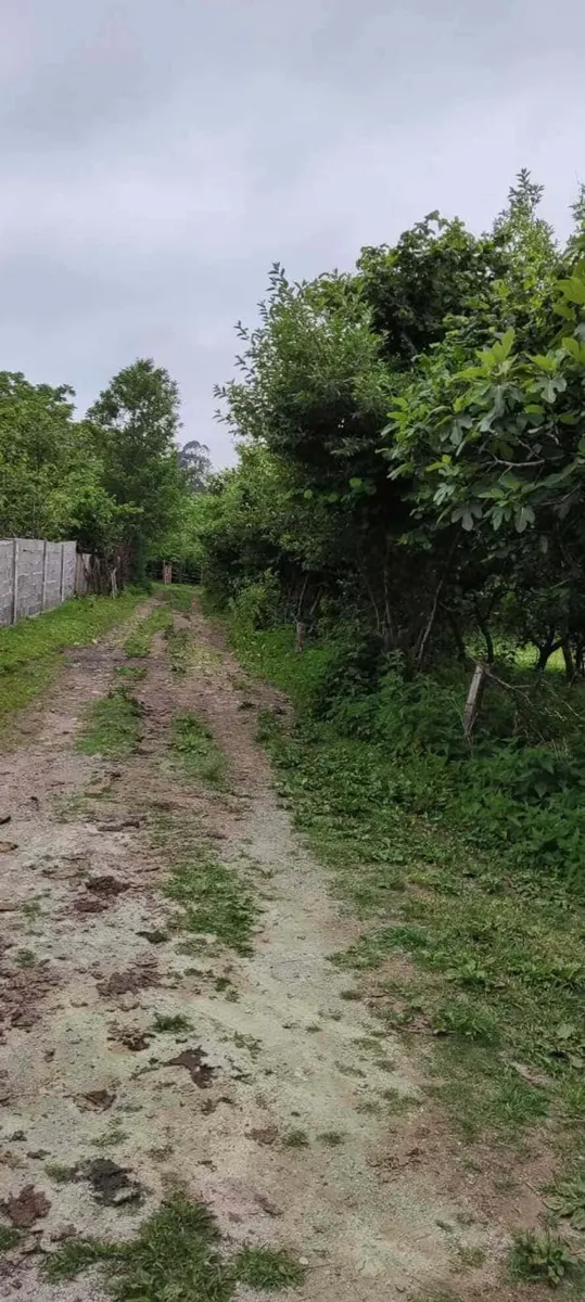 Land, 2965 m²