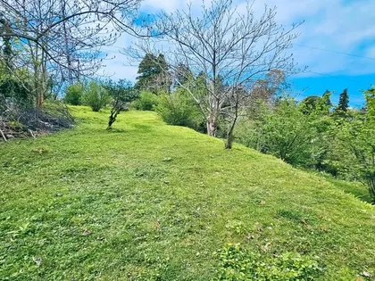 Plot, 3300 m²