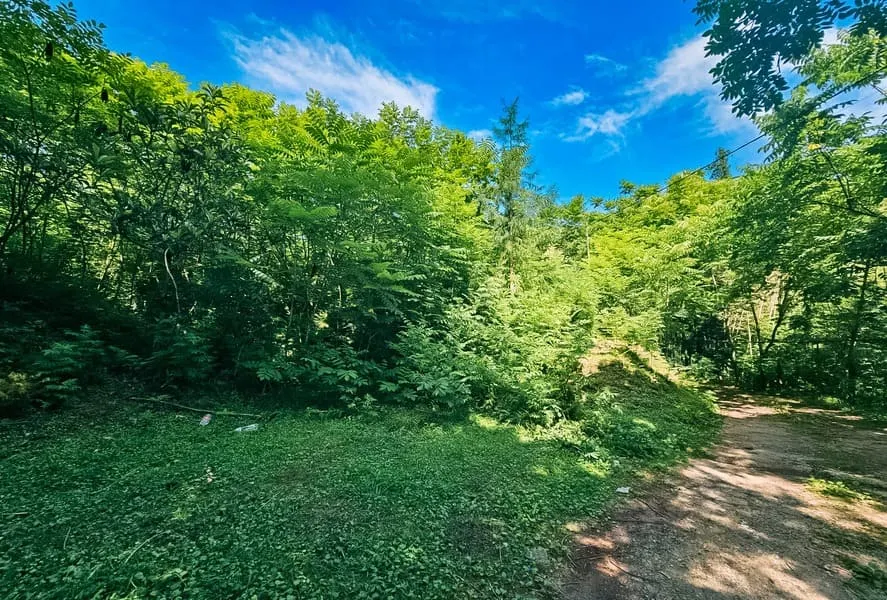 Земля, 5641 м²