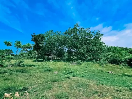 Plot, 1787 m²
